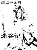 迷谷记 v小说
