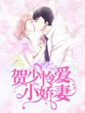 贺少怜爱小娇妻莫宛溪贺煜城无风清
