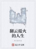 翻云覆火的人生小说