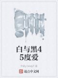 黑与白的