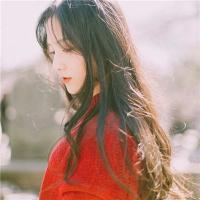 小说征服总裁女友