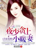 夜少贪上小暖妻下载