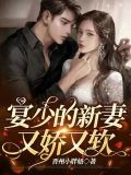 宴少的私宠小妾