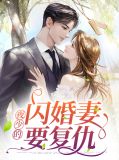 书名:夜少的二婚妻