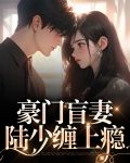 豪门盲妻小说
