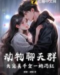 动物聊天群小说
