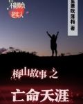 梅山故事之亡命天涯小说作者是谁