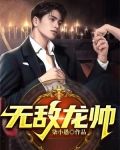 无敌龙帅俏佳人txt